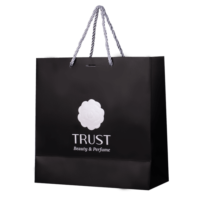 ساک‌دستی مشکی Trust Professional
